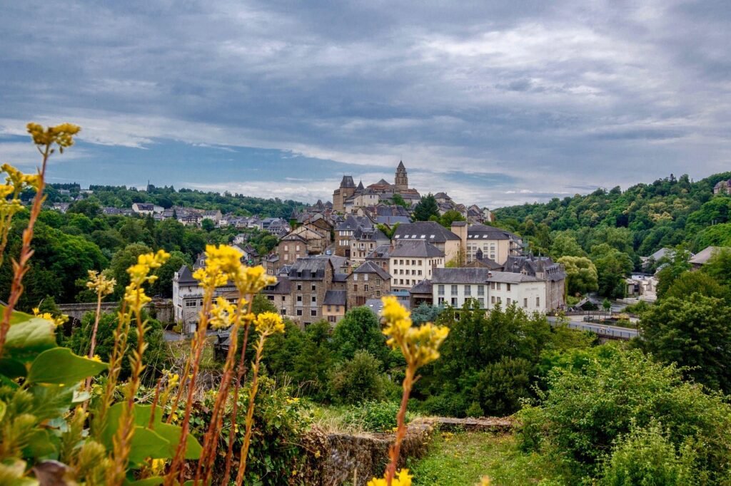 travel, architecture, flower background, panoramic, flower wallpaper, village, nature, sight, tourism, town, france, history, holiday, old town, uzerche, corrèze, monumen, beautiful flowers, flowers, roofs
